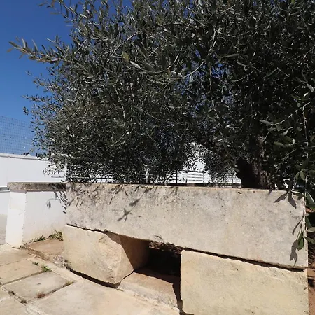 Casa Ginevra Lu Ientu A
